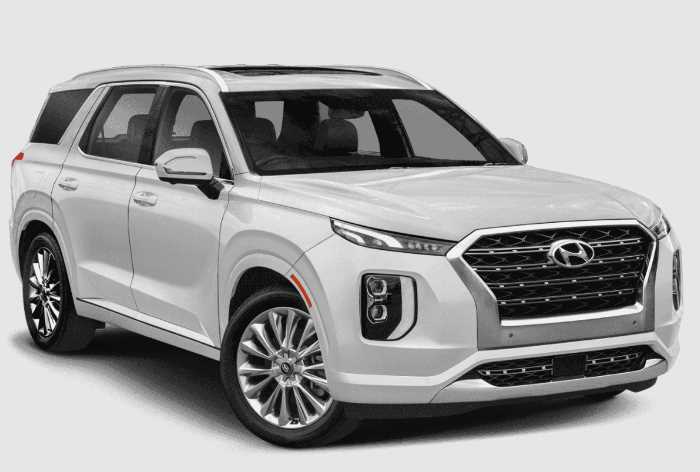 New 2022 Hyundai Palisade Exterior